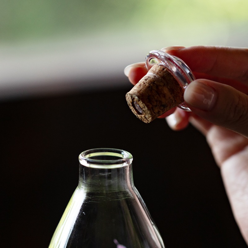 High Borosilicate Glass Bottle - Cold Brew Bottle ulasan dan harga