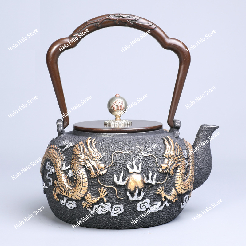 Double dragon bead iron pot Ja - Cast Iron Teapot ulasan dan harga