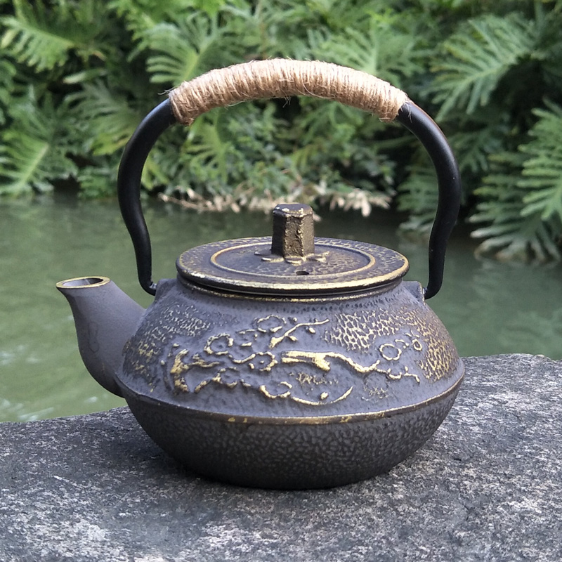 Cast Iron Teapot Japanese Tets - Cast Iron Teapot ulasan dan harga